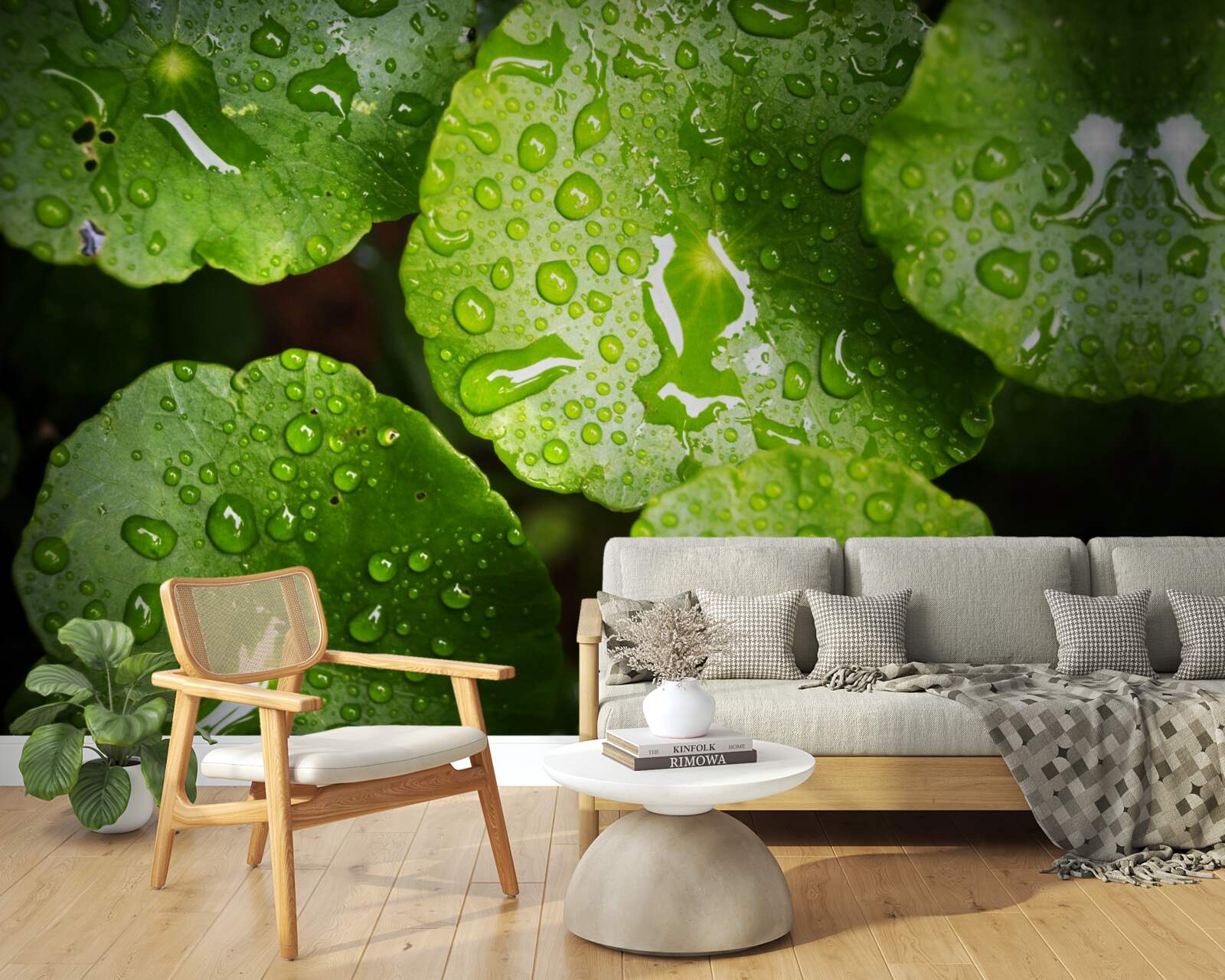 Papier peint les feuilles lavées par les gouttes de pluie ont pris une riche teinte verte