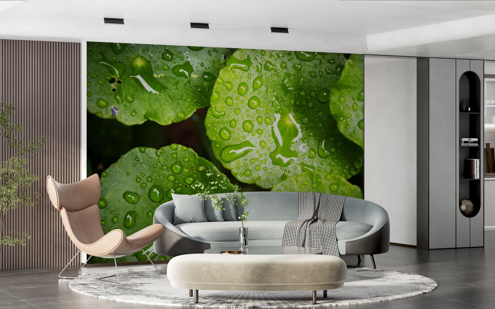 Papier peint les feuilles lavées par les gouttes de pluie ont pris une riche teinte verte