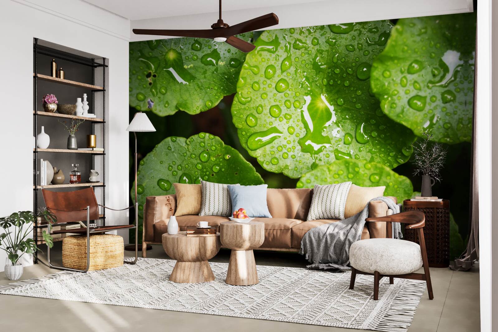 Papier peint les feuilles lavées par les gouttes de pluie ont pris une riche teinte verte