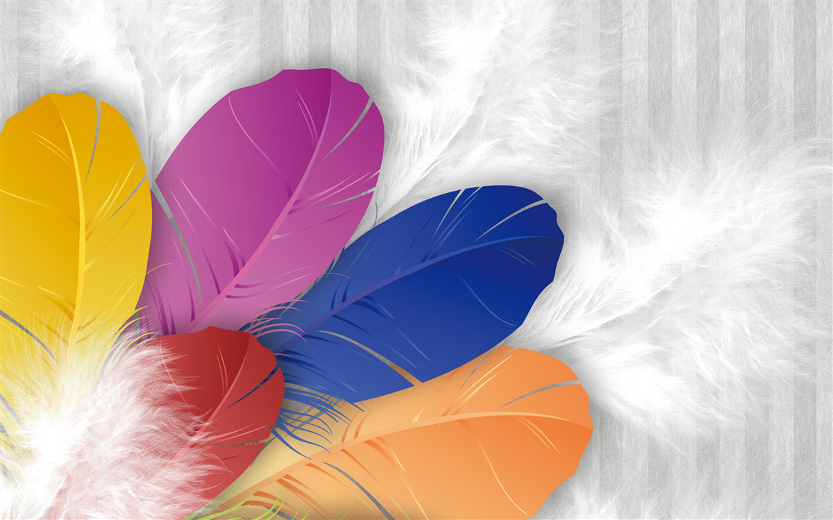 Papier peint des plumes brillantes et soigneusement polies