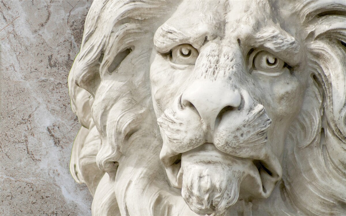 Papier peint tête de lion en bas-relief