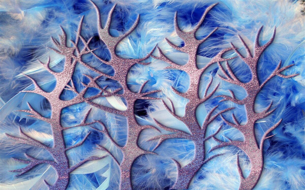 Papier peint la forêt dans le froid de l'hiver