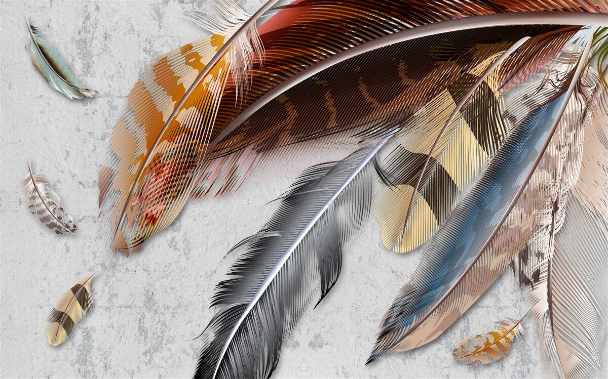 Papier peint plumes de différentes espèces d'oiseaux