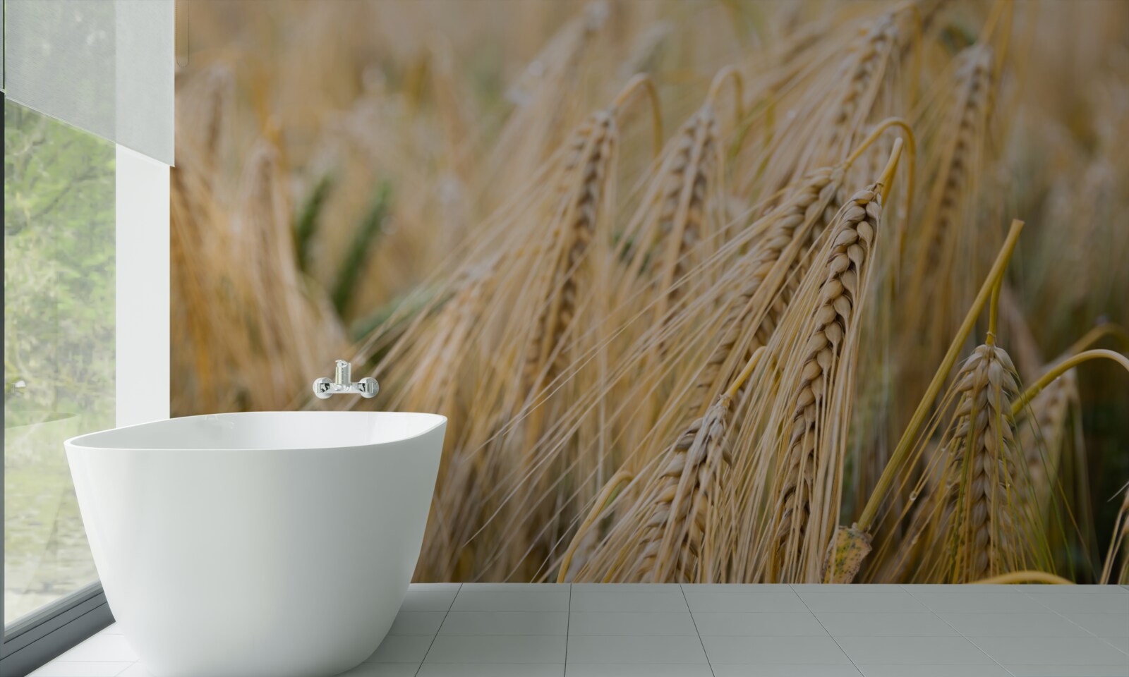 Papier peint champ d'épis de blé en cours de maturation