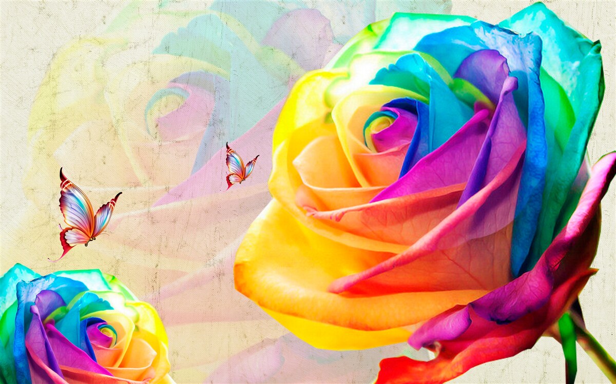 Papier peint rose aux couleurs de l'arc-en-ciel