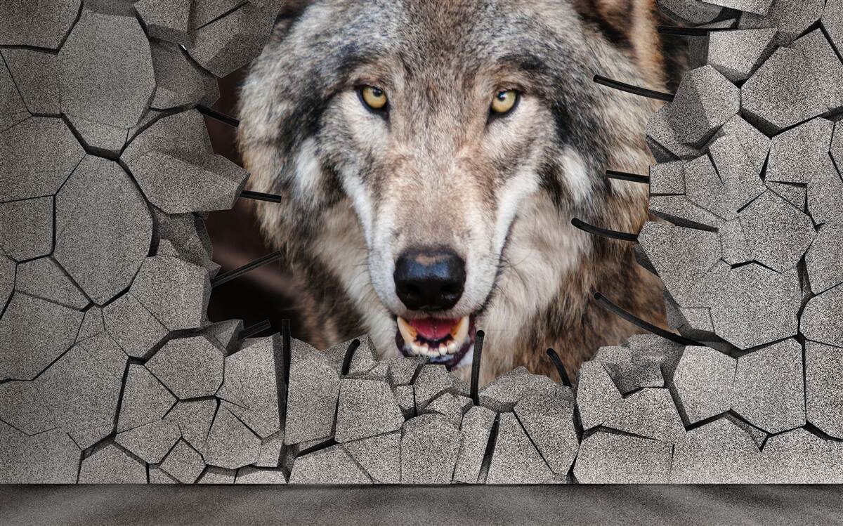 Papier peint le loup de la forêt détruit le mur