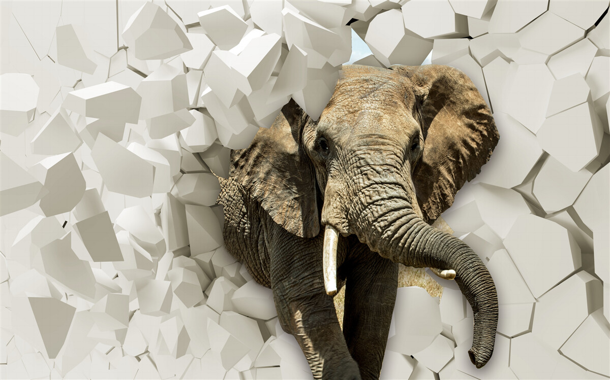 Papier peint Mur détruit par un éléphant