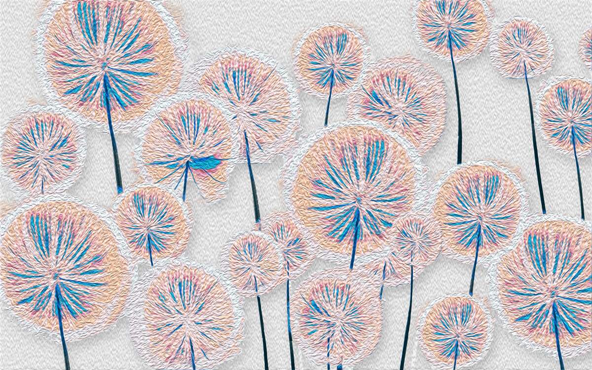 Papier peint pissenlit en pleine floraison