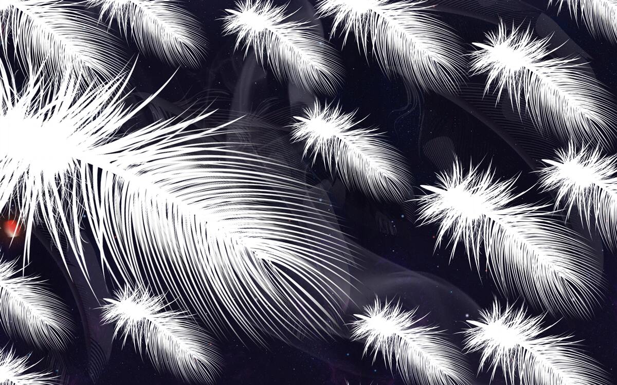 Papier peint les plumes sont blanches, douces et duveteuses