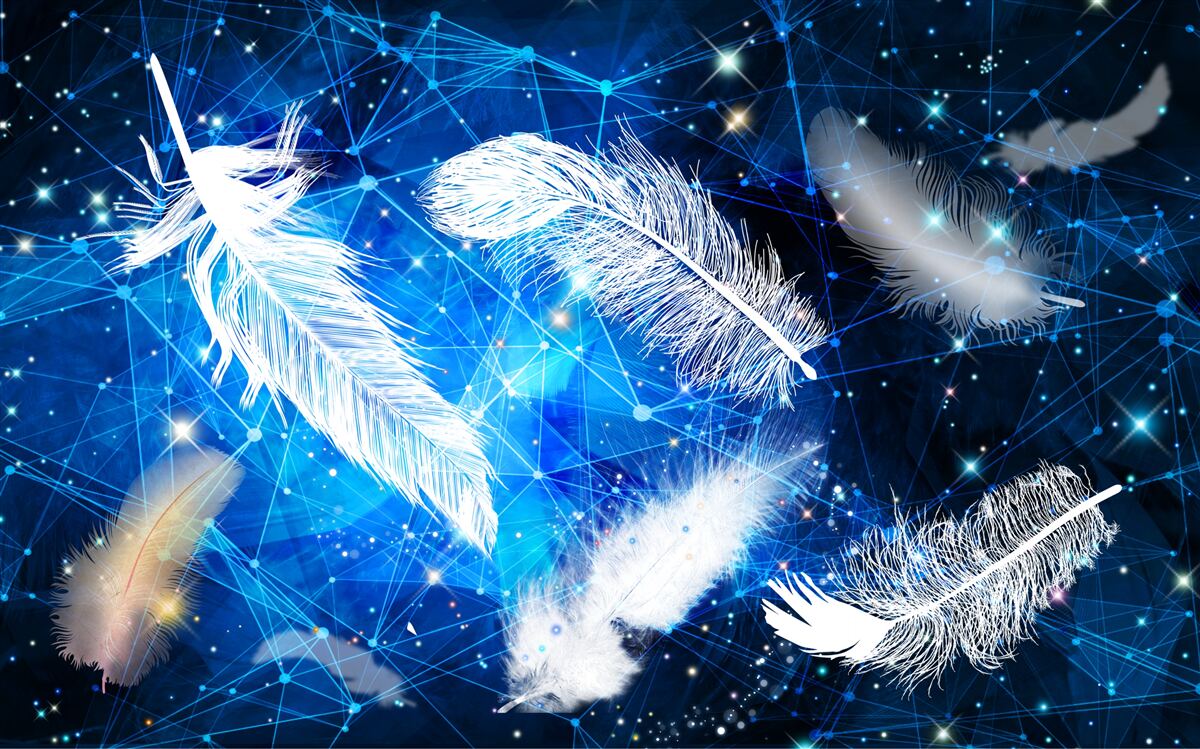 Papier peint ciel étoilé comme toile de fond pour les plumes blanches